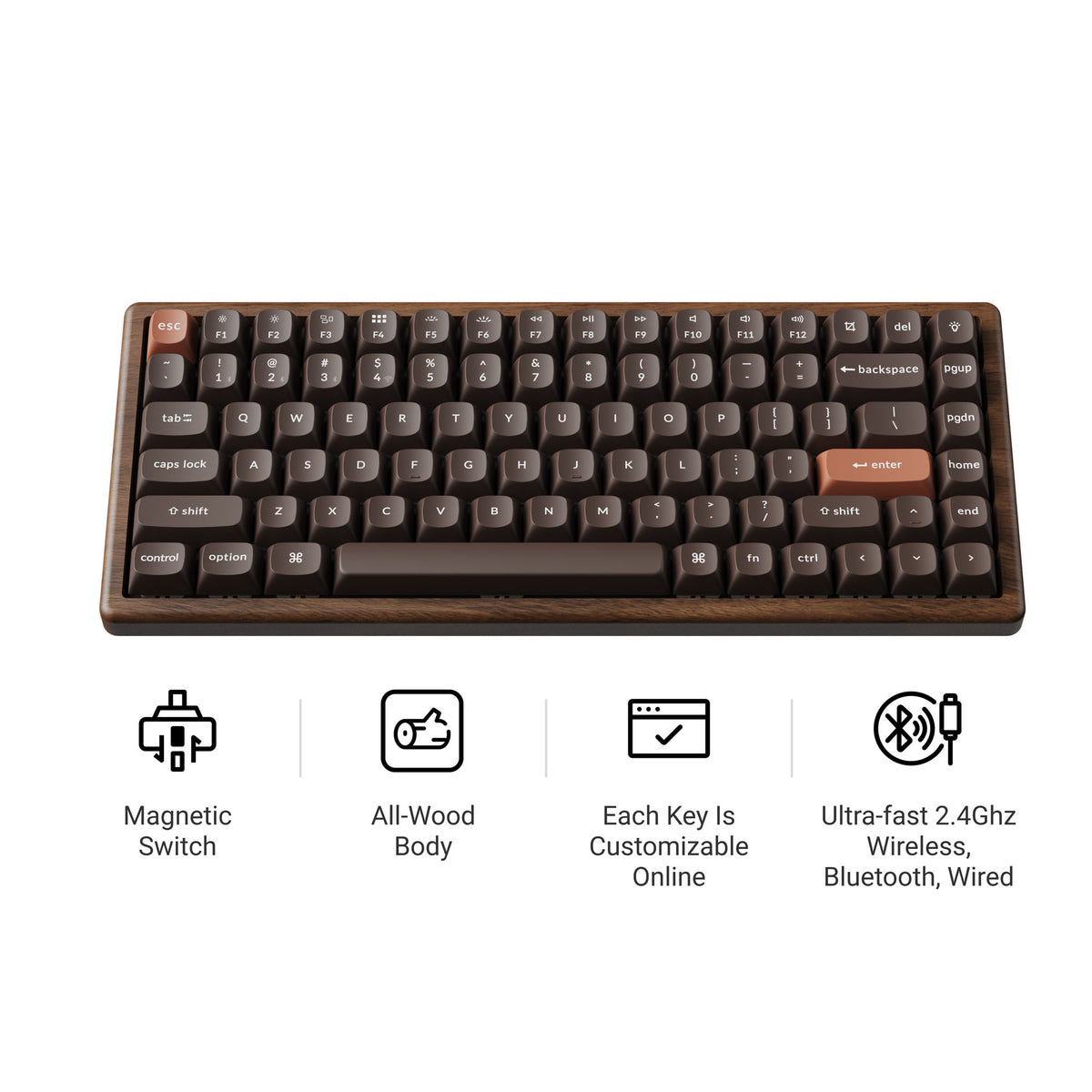 K2 HE All-Wood Special Edition Iconic Features
