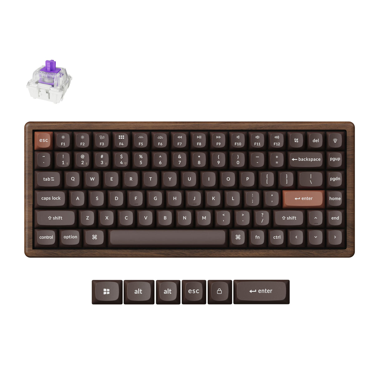 K2 HE Swappable RGB Backlight Nebula Switch - All-Wood Special Edition