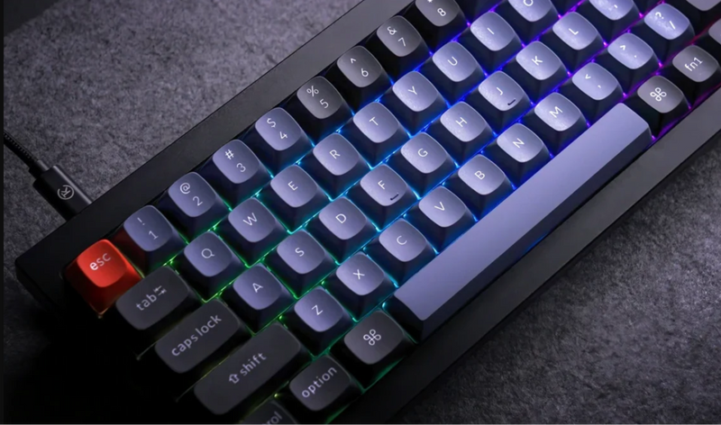 The 5 Best RGB Keyboards for Gaming & Work