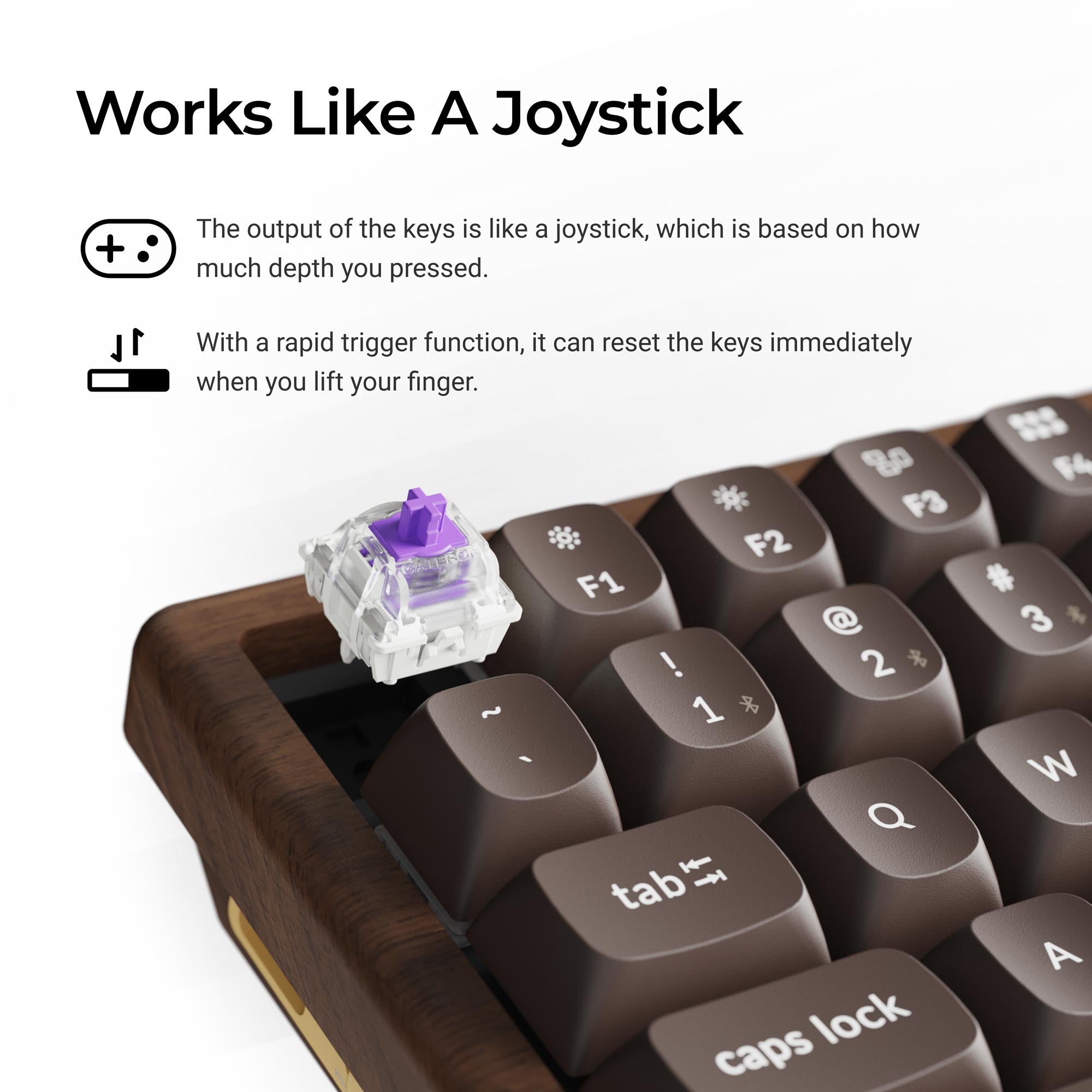 K2 HE All-Wood Special Edition Switch Features