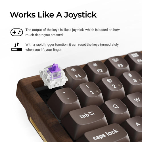K2 HE All-Wood Special Edition Switch Features