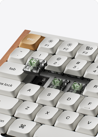 Hot-Swappable