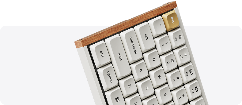 Metal & Wood Frame