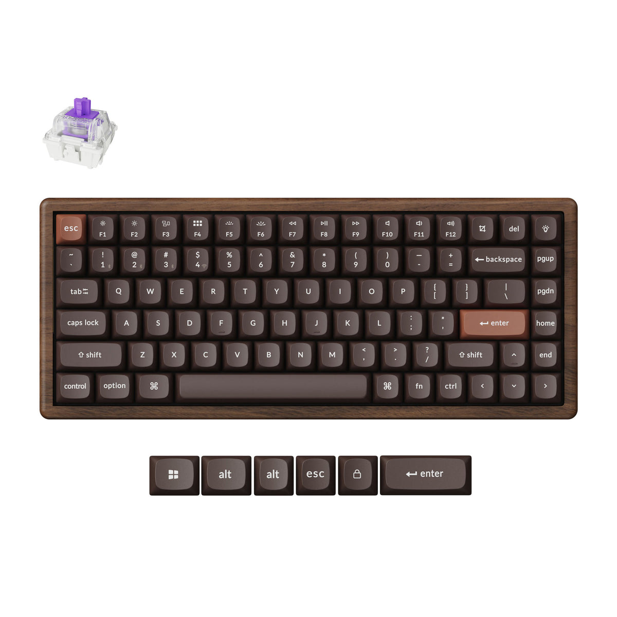 K2 HE Swappable RGB Backlight Nebula Switch - All-Wood Special Edition