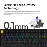 Lemokey P3 HE Magnetic Switch